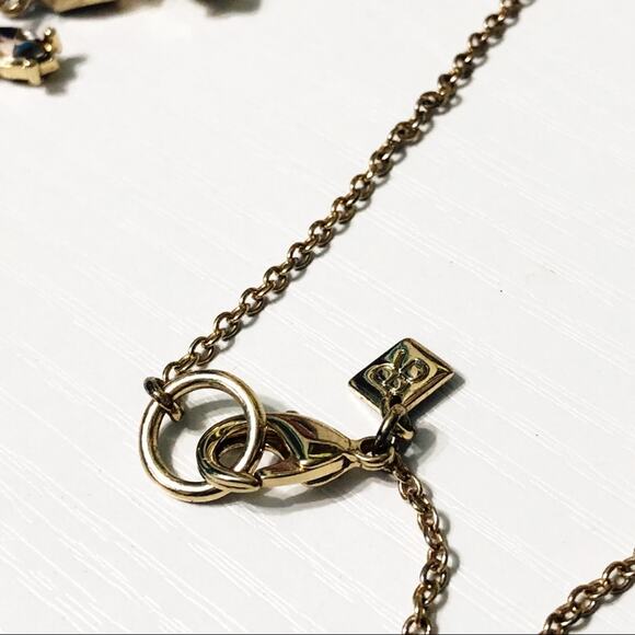 Banana Republic Long Crystal Cluster Necklace - Picture 4 of 4